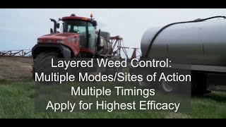 Taking a layered approach to weed control