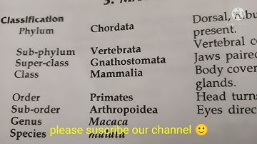 macaca (monkey)classification, habitat and comments zoology practical bsc/comments on rhesus monkey