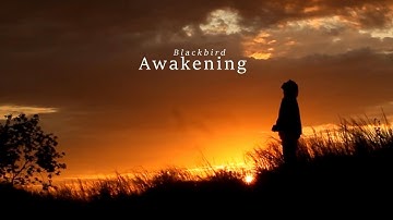 Blackbird - Awakening (Official Music Video)