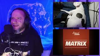 REACTION Sons of Legion Matrix