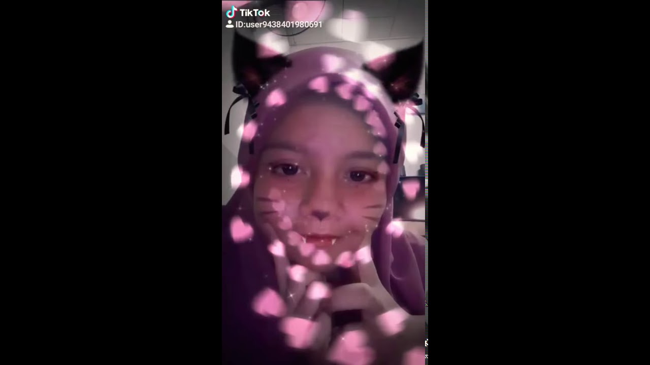 Tik tok kucing 😂😂 