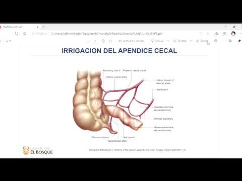 Cómo Usar Un Apéndice En Su Currículum