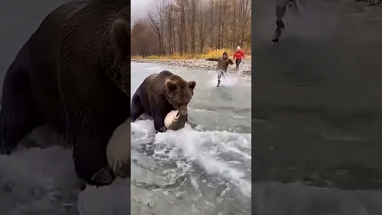 Unbelievable Fishing 😱 Bear Caught Fish Like a Pro! 