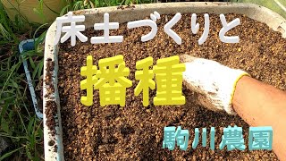 床土づくりと播種　邑南町　駒川農園　22.8.21