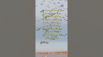 الفتن الاربع. وسورة الكهف وحديث الرسول عنها عليه الصلاة والسلام..