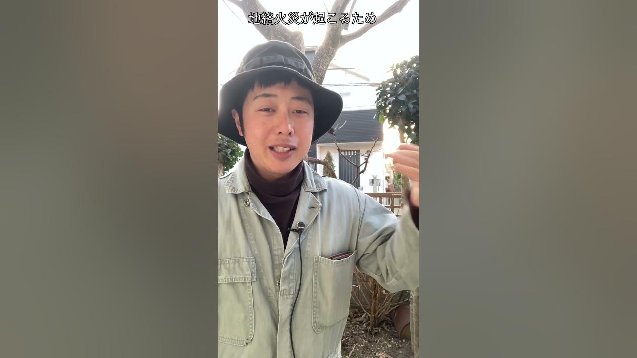 58秒で説明 枝が電線にこれってマズイの?(字幕対応)