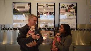 Can I Bring My Own Dog - Fido's Tap House Part 2 of 14