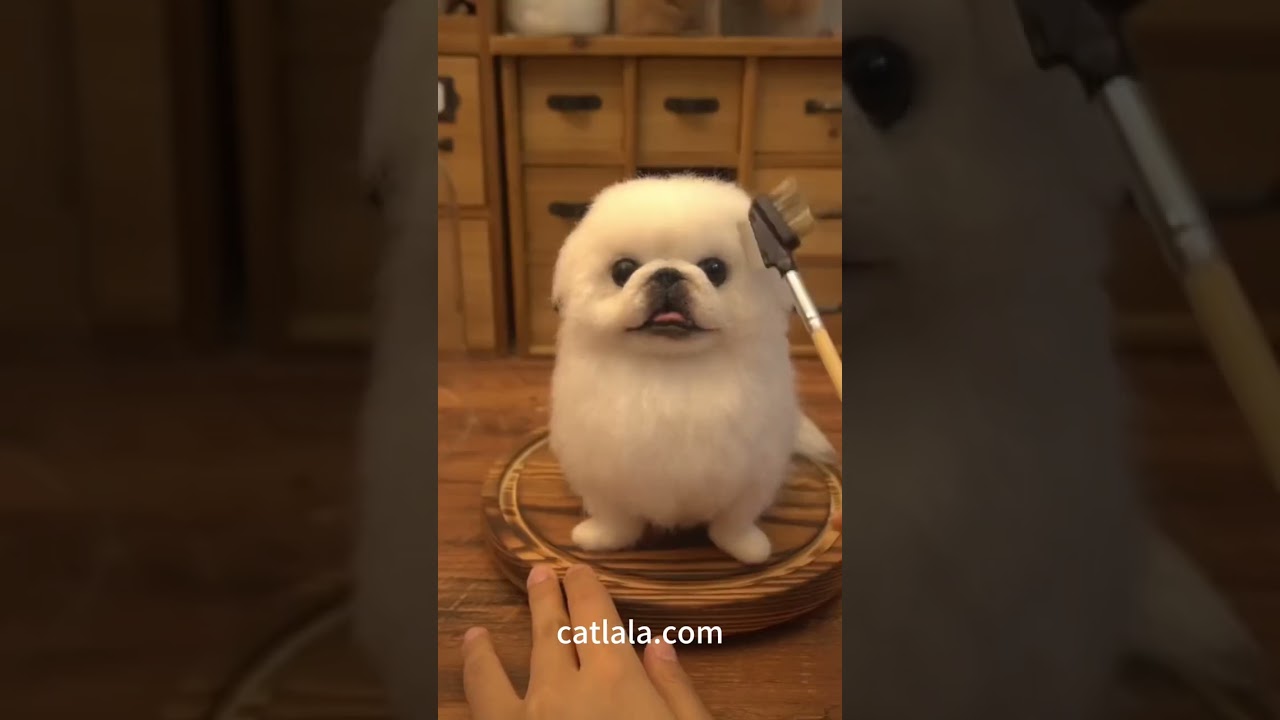 Cherished Companions: Crafting Woolen Tributes for Beloved Dogs