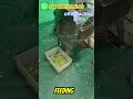 Vegetable Cutting Machine for Precise Slicing, Dicing, and Uniform Leafy Vegetable Cutting