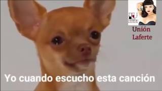 Reacción cuando ponen "tu Falta De Querer" de Mon Laferte