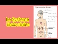 le système endocrinien