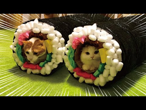 猫専用の巨大恵方巻きを手作りしてみました【おしゃべりする猫】