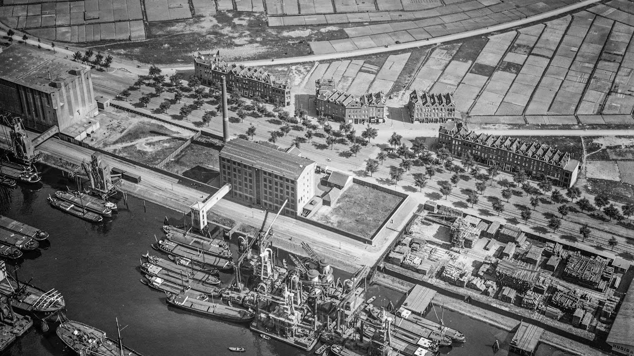 Tarwewijk - geschiedenis en ontwikkeling