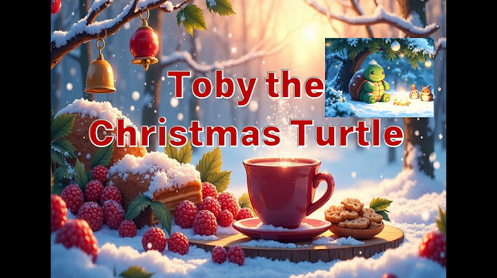Toby the Christmas Turtle