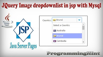 How to fill Country Name and his flag in dropdownlist  from mysql database using jsp