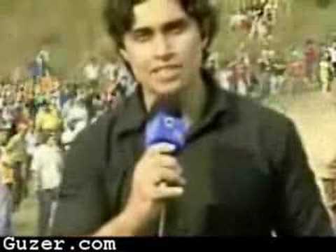 horse hits reporter