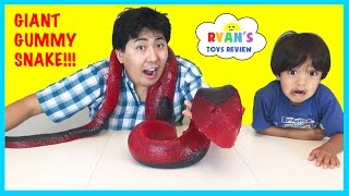 WORLD'S LARGEST GUMMY SNAKE CANDY CHALLENGE 26lb Giant Gummy Worm Python Ryan ToysReview