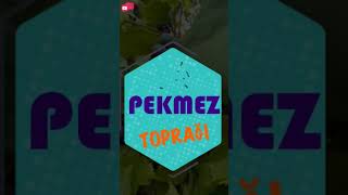 Pekmez, Pekmez Toprağı, Nedir, Nereden, Nasil Çıkarılır?