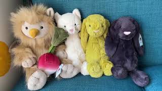 bashful cream kitten