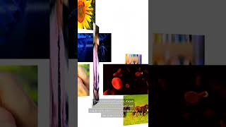 The Remarkable Story of Earth's First Life Forms and the Creation of Our Biosphere