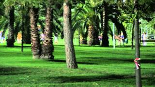 Powerslide - 2012 Worlds VideoLog 19 - Men 200m final