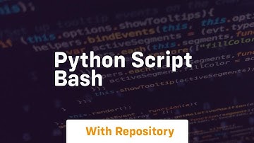 python script bash