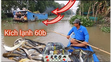 Xiệt Lạnh Chuyên Cá Da Trơn 60B Bắt Cá Lăng Trê Chèn Thác Lác Chốt, Bảo Hành 8 Tháng