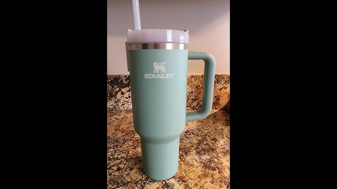 14oz Kids Stanley Tumbler Review