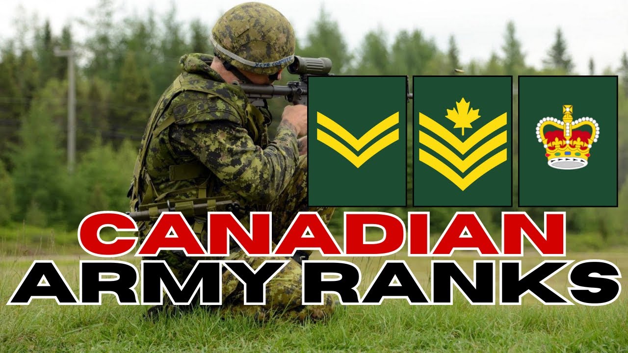 Canadian Forces Ranks And Insignia