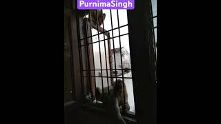 #Socutemonkey#hungry#monkey#