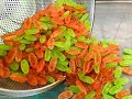 Универсальная машина Монпансье: парварда + карамельные конфеты