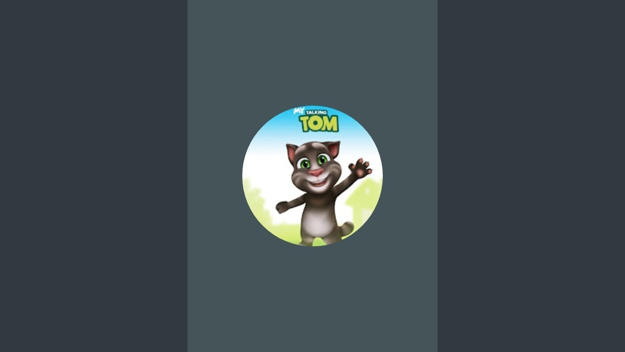 talking tom cat