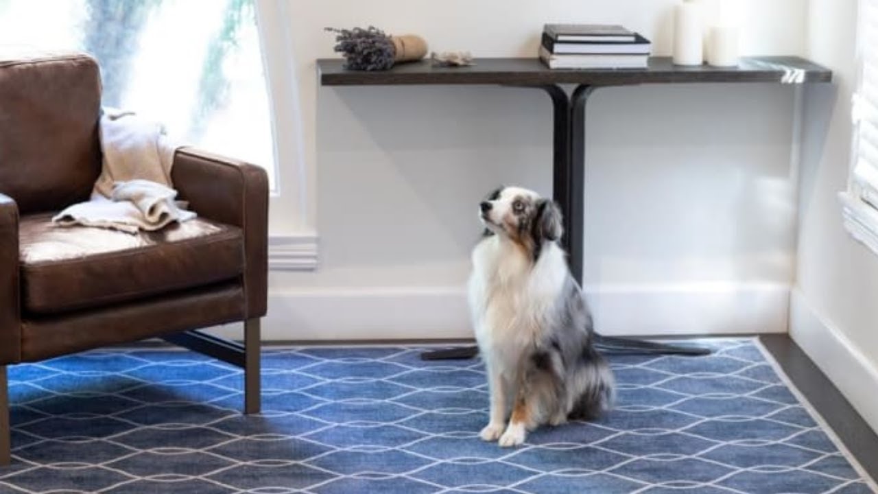 Tumble: The First Spillproof & Washable Rug | Indiegogo