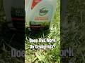 This Product is Destroying Crabgrass in the Lawn