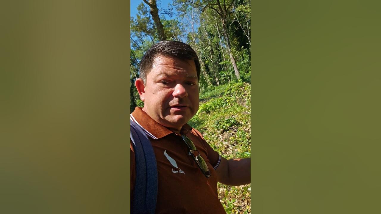 Джунгли ко Чанг Таиланд
