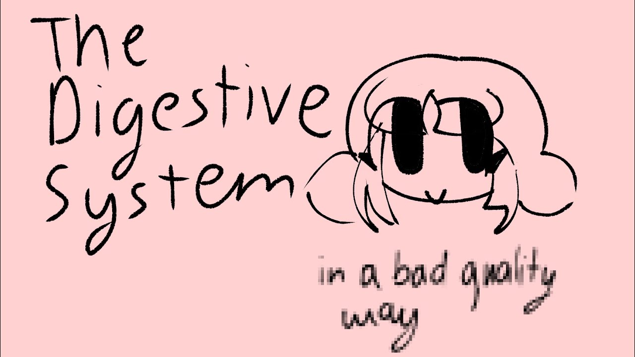 The Digestive system and the process | in a bad quality way