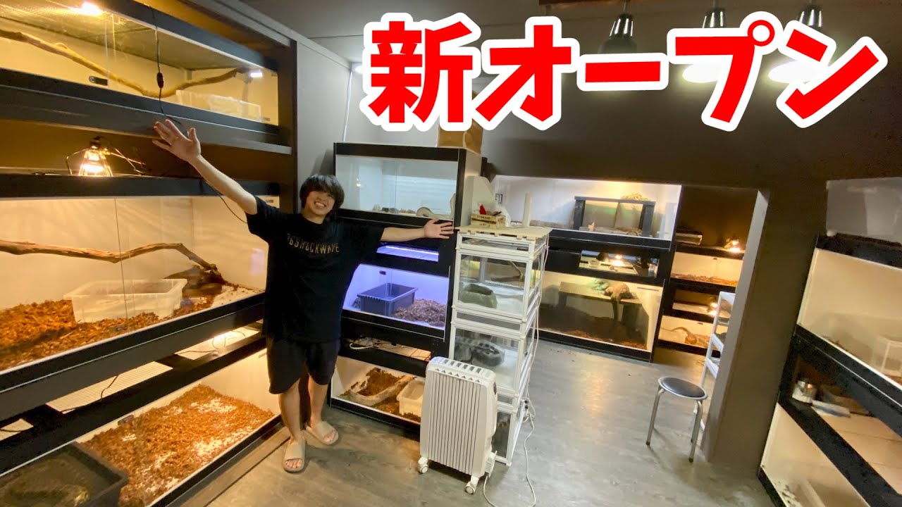千葉にオープンした爬虫類ショップ&展示施設に行ってみると最高の