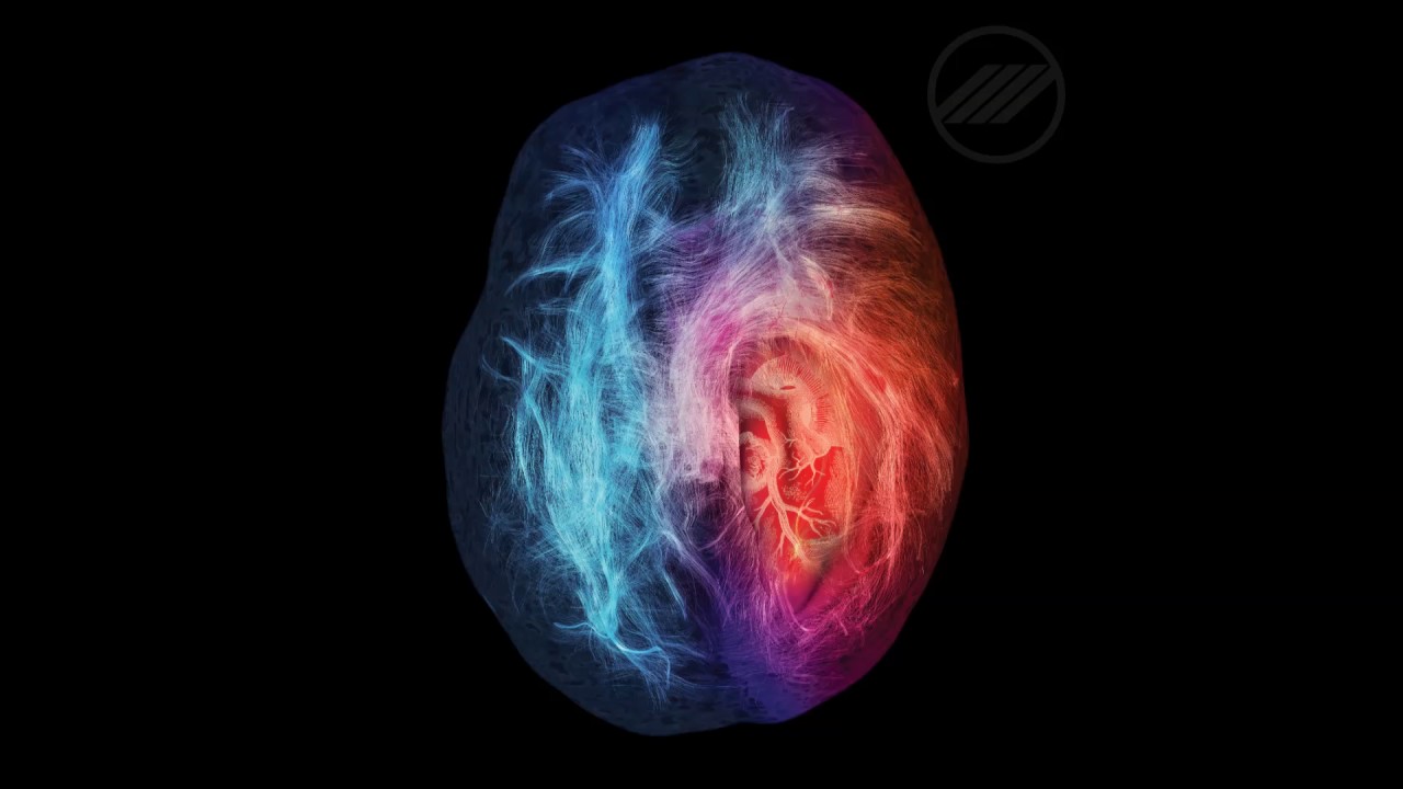 //// Rare Futures - Worst Thing I've Ever Done