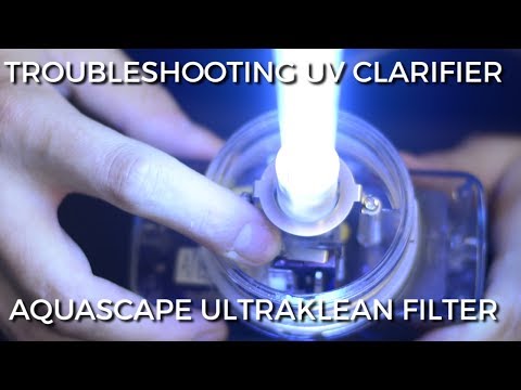 How to troubleshoot the UV clarifier in a Aquascape UltraKlean Filter