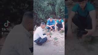 Mersin Davul Zurna 05318844658