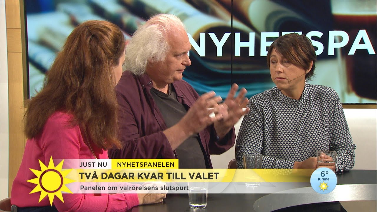 Nyhetspanelen Nar Vi Lagger Var Rost Valjer Vi Ocksa Samhallsmodell Nyhetsmorgon Tv4 Youtube