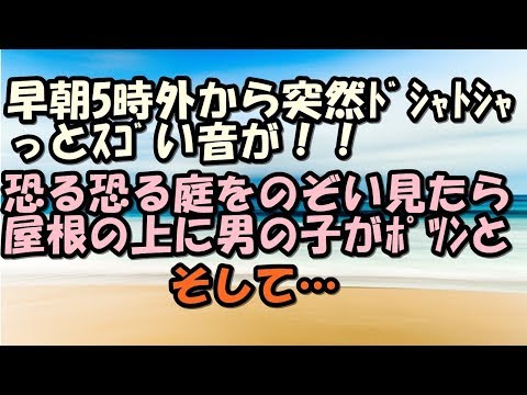 スカッとする話　キチママ　朝５時外からドシャドシャっとスゴイ音！何事かと庭をのぞくと屋根の上に男の子がポツンとそして・・・　スカッとＬｉｖｅ！！
