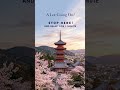 Serene Temple | Sophisticated J-Fusion for Deep Focus | Jumping Jazz #jazz #jazzfusion #japan