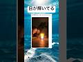 楽しむのが1番だよね#shorts#面白い#笑える#科学実験#子供#海外