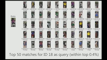 Person Re-identification