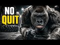 Cold Mirror | Hard Rock Gym Anthem