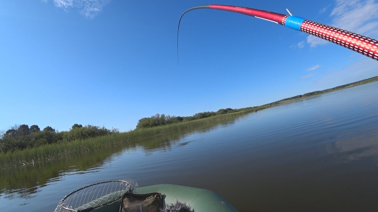 В этом ПРУДУ, крадут удочки...   Топят поплавки БОЛЬШИЕ КАРАСИ!   Рыбалка с лодки