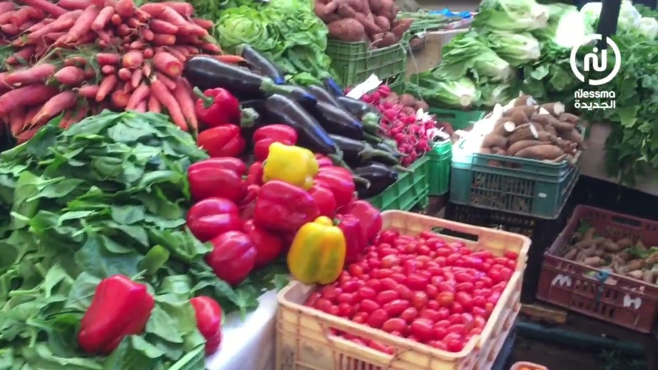 جولة بالسوق المركزي بالعاصمة تونس / أسعار الخضر و الغلال و ولد بحر 🍓🥦🍊🦑🐙