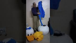 Donald Duck Mascot Unboxing