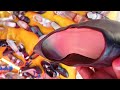 Black Suede Pointed Heels Found at Thrift Market | Insole Shows Real Wear Story